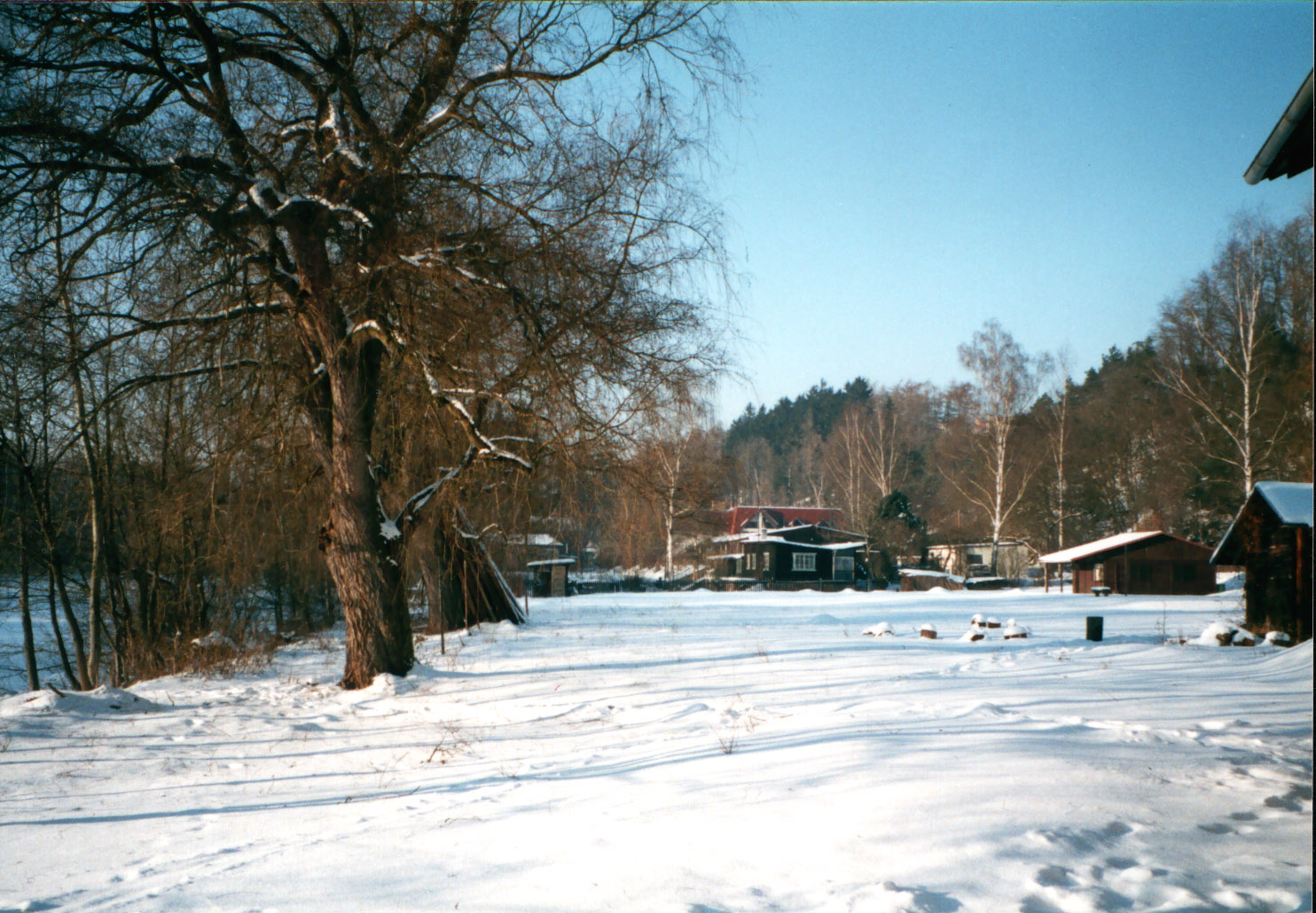 02.jpg