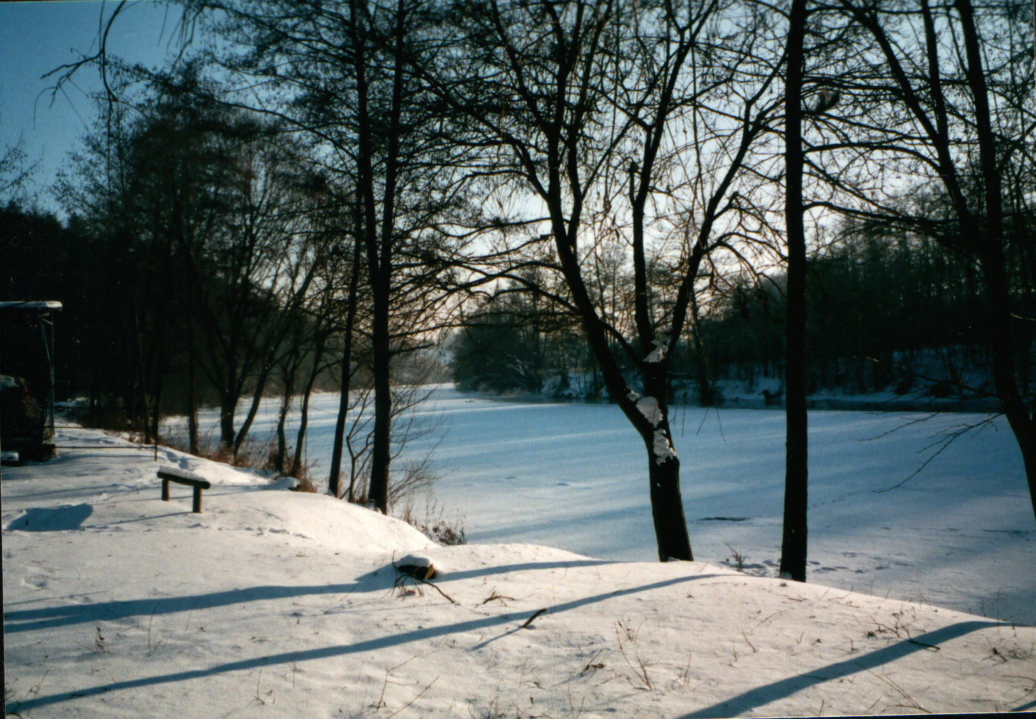 04.jpg