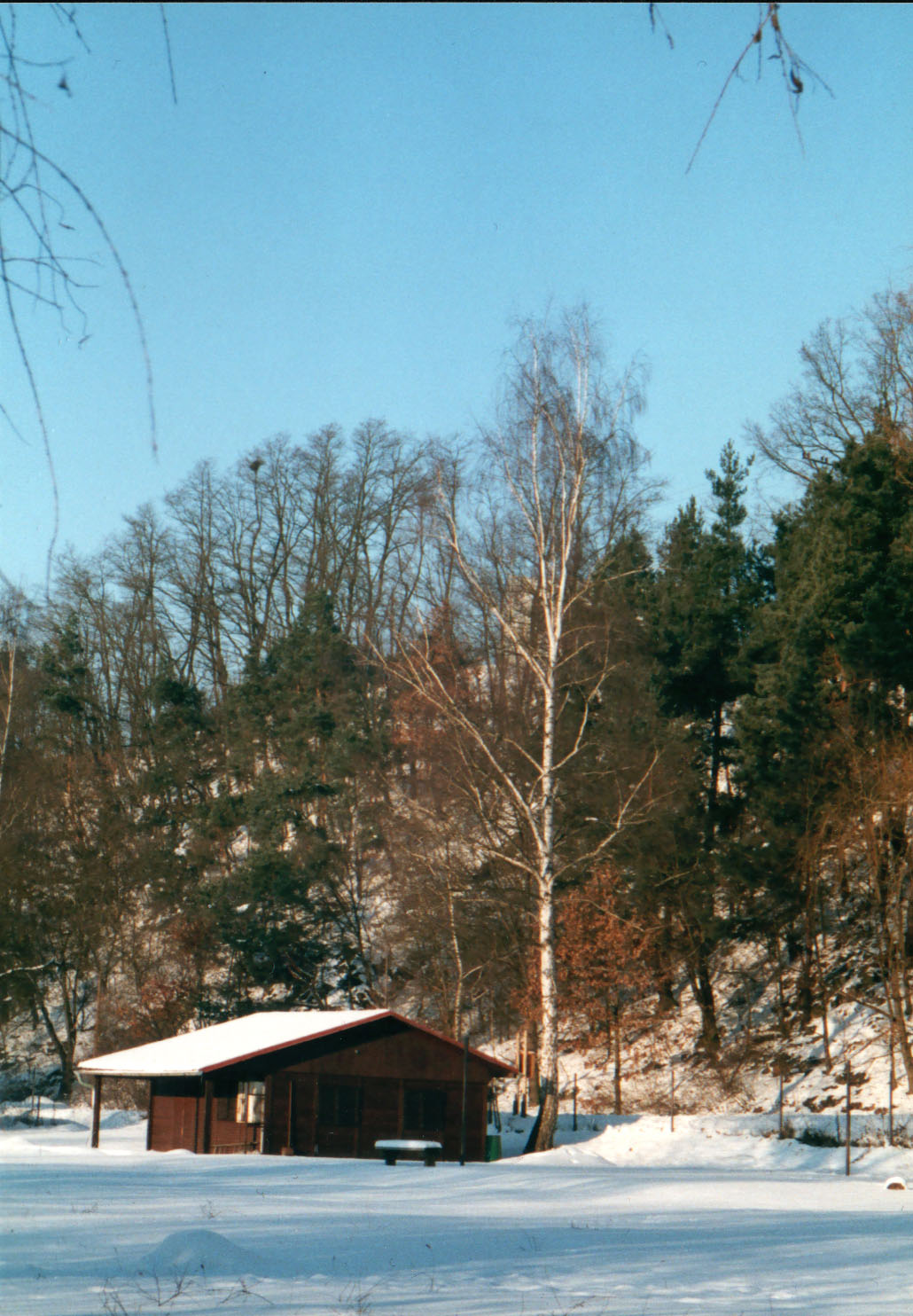 05.jpg